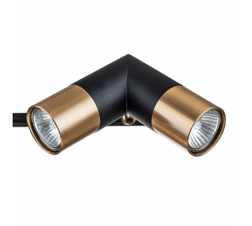 Люстра на штанге Indigo Doppio 11036/6R Black