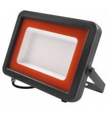 Настенно-потолочный прожектор Jazzway  PFL-S2 100w 6500K IP65