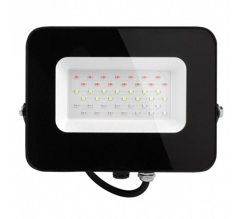 Настенно-потолочный прожектор Jazzway PFL-30W RGB BL IP65