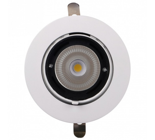 Встраиваемый светильник Jazzway PLED DL4 30W 4000K 24° White IP40