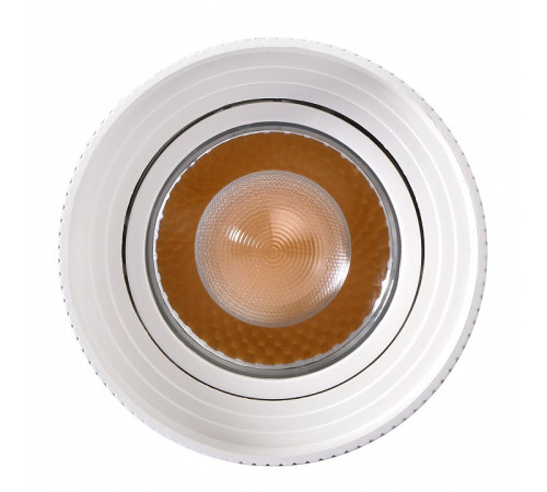 Светильник на штанге Jazzway PTR 0728 ZOOM 28w 3000K 15-60° WH IP40