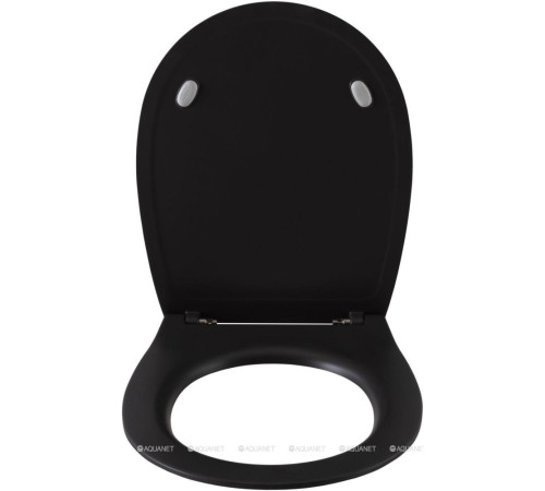 Сиденье для унитаза Allen Brau Fantasy Smartfix Soft-Close дюропласт антрацит 4.11005.AN