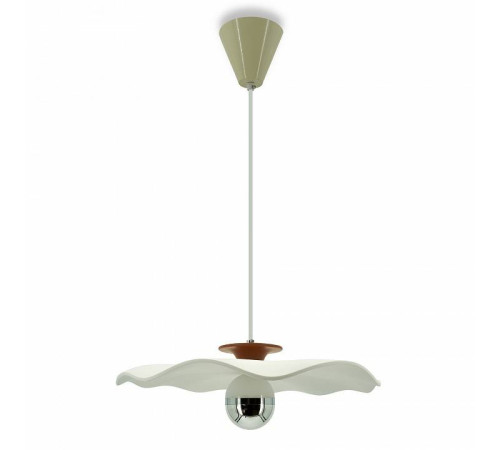 Подвесной светильник LIGHTERA Colorado LE101L-40R