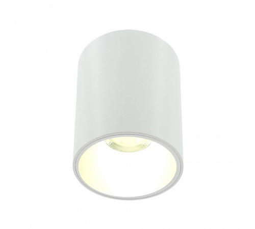 Накладной светильник LIGHTERA Shamrock LE201CL-1WA