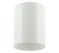 Накладной светильник LIGHTERA Shamrock LE201CL-1WB
