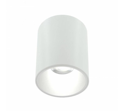 Накладной светильник LIGHTERA Shamrock LE201CL-1WB
