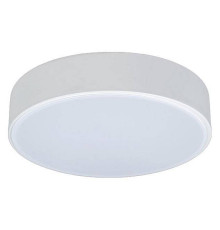 Накладной светильник Loft it Axel 1 10002/12 White