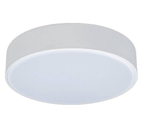 Накладной светильник Loft it Axel 1 10002/12 White