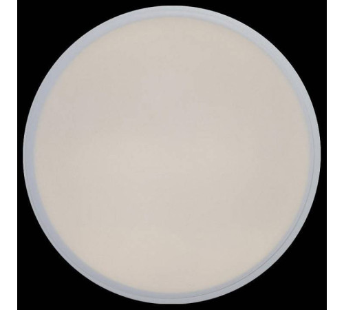 Накладной светильник Loft it Axel 1 10002/12 White