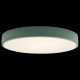 Накладной светильник Loft it Axel 1 10002/24 Green