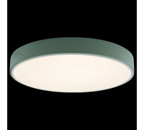 Накладной светильник Loft it Axel 1 10002/24 Green
