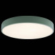 Накладной светильник Loft it Axel 1 10002/24 Green