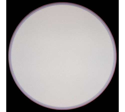 Накладной светильник Loft it Axel 1 10002/24 Pink