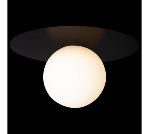 Накладной светильник Loft it Ufo 10120/250C Black