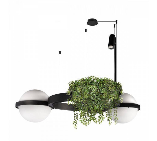 Подвесной светильник Loft it Jardin 10121/2