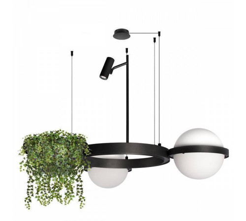 Подвесной светильник Loft it Jardin 10121/2