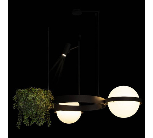 Подвесной светильник Loft it Jardin 10121/2