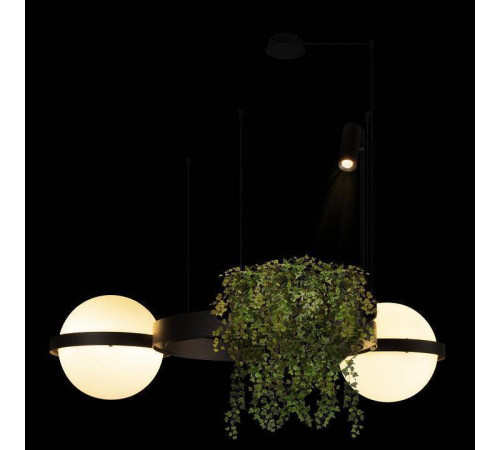 Подвесной светильник Loft it Jardin 10121/2