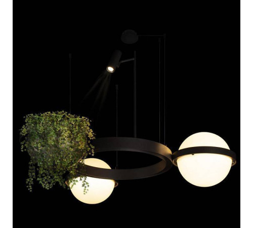 Подвесной светильник Loft it Jardin 10121/2