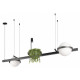 Подвесной светильник Loft It Jardin 10121/D Dark grey