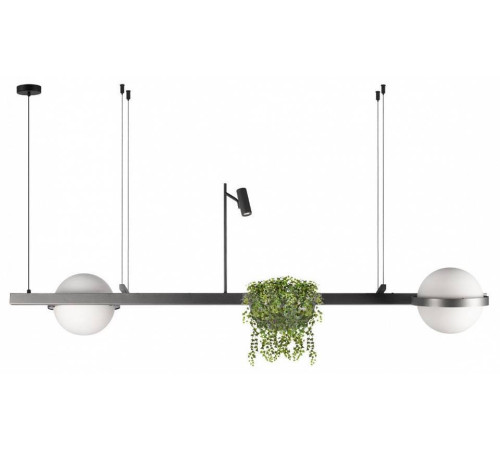 Подвесной светильник Loft It Jardin 10121/D Dark grey