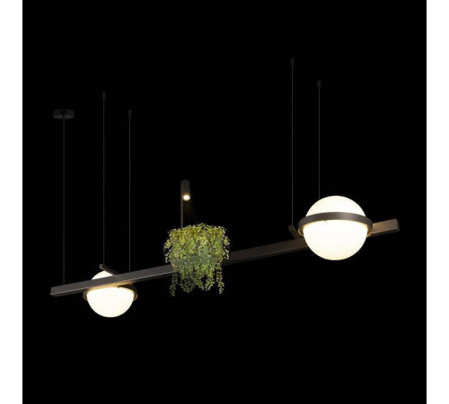 Подвесной светильник Loft It Jardin 10121/D Dark grey