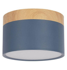 Накладной светильник Loft it Grape 10162 Blue