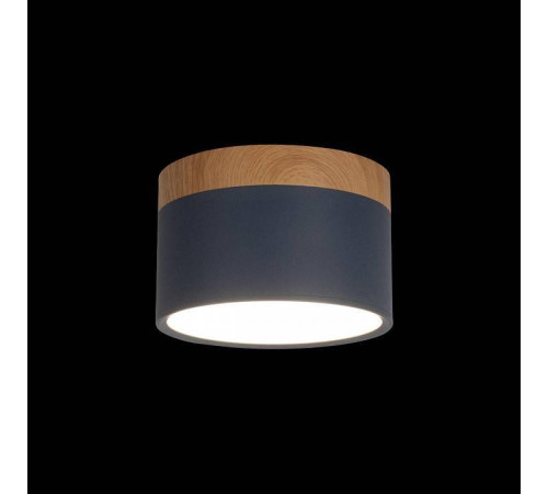 Накладной светильник Loft it Grape 10162 Blue