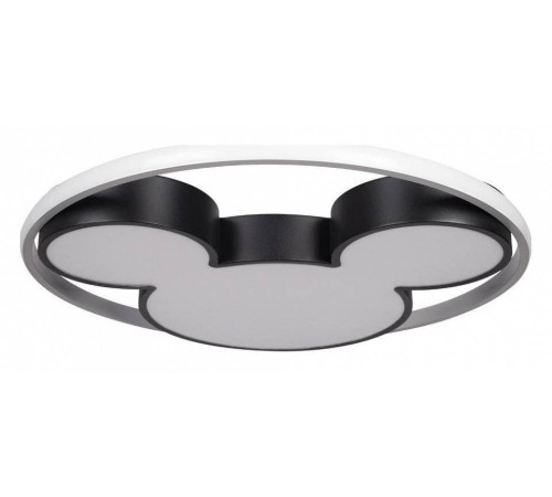 Накладной светильник Loft it Mike 10166