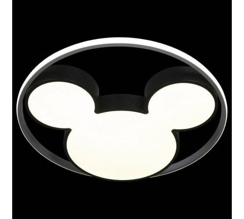 Накладной светильник Loft it Mike 10166