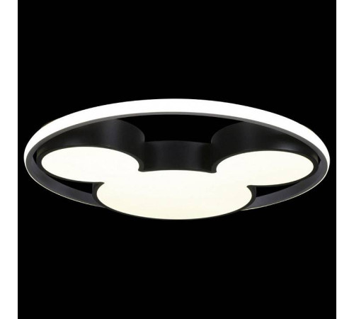 Накладной светильник Loft it Mike 10166