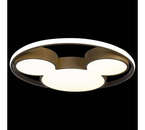 Накладной светильник Loft it Mike 10168