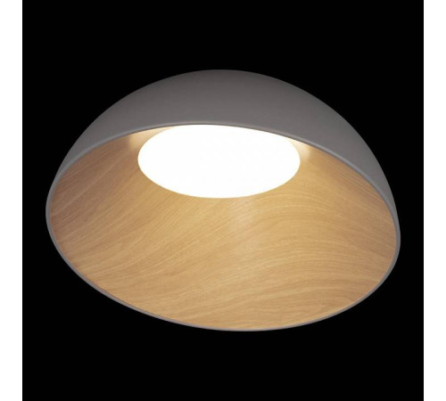Накладной светильник Loft it Egg 10197/500 Grey
