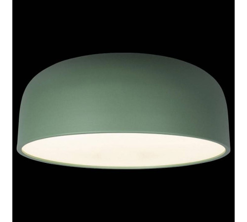 Накладной светильник Loft it Axel 10201/480 Green