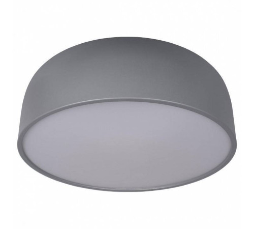 Накладной светильник Loft it Axel 10201/480 Grey