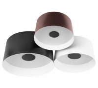 Потолочная люстра Loft it Duo 10360/3