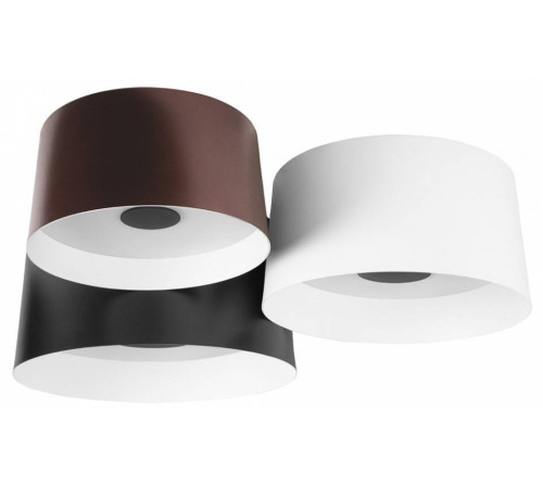 Потолочная люстра Loft it Duo 10360/3