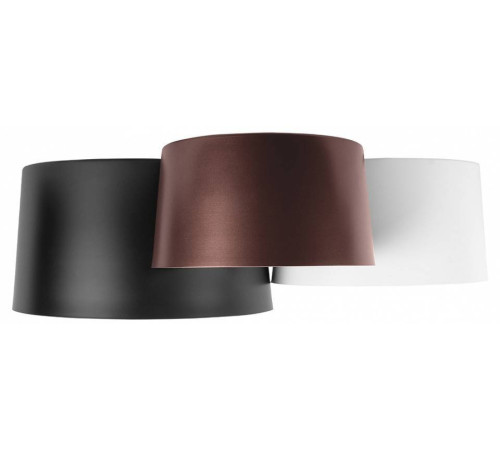 Потолочная люстра Loft it Duo 10360/3