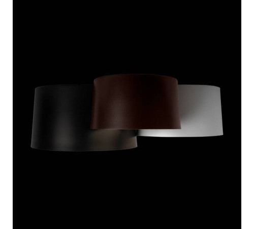 Потолочная люстра Loft it Duo 10360/3