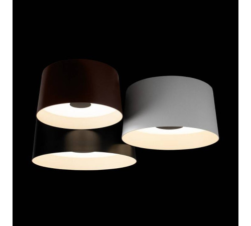 Потолочная люстра Loft it Duo 10360/3