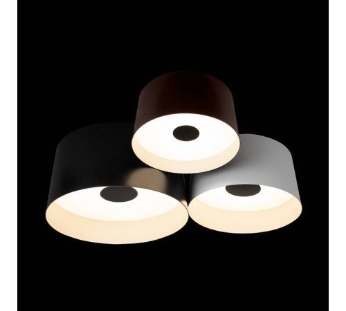 Потолочная люстра Loft it Duo 10360/3