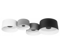 Потолочная люстра Loft it Duo 10360/4