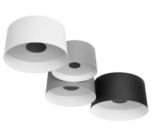 Потолочная люстра Loft it Duo 10360/4