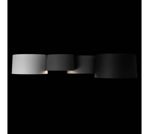 Потолочная люстра Loft it Duo 10360/4