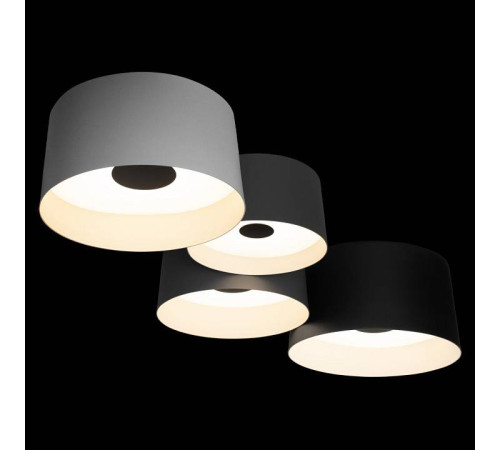 Потолочная люстра Loft it Duo 10360/4