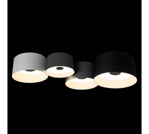 Потолочная люстра Loft it Duo 10360/4