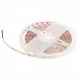 Лента светодиодная Loft it Strip 10363/12020 NW