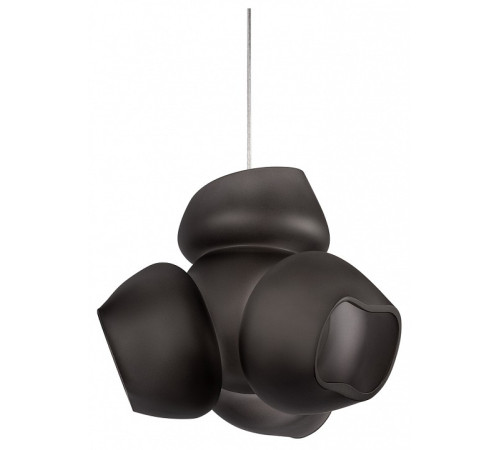 Подвесной светильник Loft it Cluster 10467P Black