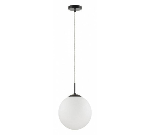 Подвесной светильник Lumion Suspentioni 6510/1