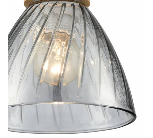 Подвесной светильник Lumion Mirabela 8050/1А